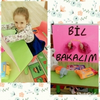 Özel Gebze Hisar Okulları, Koleji Gebze Hisar Koleji, Hisar Okulları Gebze, Anaokulu, Kreş, ilkokul, lise, ortaokul