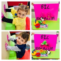 Özel Gebze Hisar Okulları, Koleji Gebze Hisar Koleji, Hisar Okulları Gebze, Anaokulu, Kreş, ilkokul, lise, ortaokul