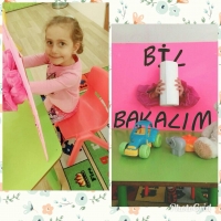 Özel Gebze Hisar Okulları, Koleji Gebze Hisar Koleji, Hisar Okulları Gebze, Anaokulu, Kreş, ilkokul, lise, ortaokul