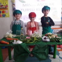 Özel Gebze Hisar Okulları, Koleji Gebze Hisar Koleji, Hisar Okulları Gebze, Anaokulu, Kreş, ilkokul, lise, ortaokul