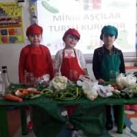 Özel Gebze Hisar Okulları, Koleji Gebze Hisar Koleji, Hisar Okulları Gebze, Anaokulu, Kreş, ilkokul, lise, ortaokul