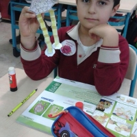 Özel Gebze Hisar Okulları, Koleji Gebze Hisar Koleji, Hisar Okulları Gebze, Anaokulu, Kreş, ilkokul, lise, ortaokul