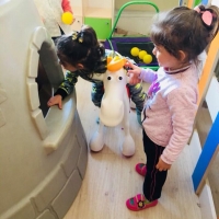 Özel Gebze Hisar Okulları, Koleji Gebze Hisar Koleji, Hisar Okulları Gebze, Anaokulu, Kreş, ilkokul, lise, ortaokul