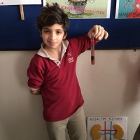 Özel Gebze Hisar Okulları, Koleji Gebze Hisar Koleji, Hisar Okulları Gebze, Anaokulu, Kreş, ilkokul, lise, ortaokul
