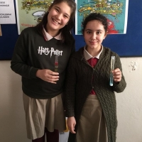 Özel Gebze Hisar Okulları, Koleji Gebze Hisar Koleji, Hisar Okulları Gebze, Anaokulu, Kreş, ilkokul, lise, ortaokul