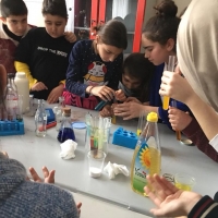 Özel Gebze Hisar Okulları, Koleji Gebze Hisar Koleji, Hisar Okulları Gebze, Anaokulu, Kreş, ilkokul, lise, ortaokul