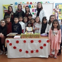 Özel Gebze Hisar Okulları, Koleji Gebze Hisar Koleji, Hisar Okulları Gebze, Anaokulu, Kreş, ilkokul, lise, ortaokul