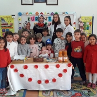 Özel Gebze Hisar Okulları, Koleji Gebze Hisar Koleji, Hisar Okulları Gebze, Anaokulu, Kreş, ilkokul, lise, ortaokul