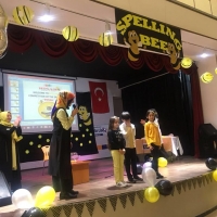 Özel Gebze Hisar Okulları, Koleji Gebze Hisar Koleji, Hisar Okulları Gebze, Anaokulu, Kreş, ilkokul, lise, ortaokul