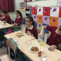 Özel Gebze Hisar Okulları, Koleji Gebze Hisar Koleji, Hisar Okulları Gebze, Anaokulu, Kreş, ilkokul, lise, ortaokul