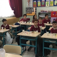 Özel Gebze Hisar Okulları, Koleji Gebze Hisar Koleji, Hisar Okulları Gebze, Anaokulu, Kreş, ilkokul, lise, ortaokul