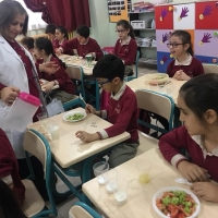 Özel Gebze Hisar Okulları, Koleji Gebze Hisar Koleji, Hisar Okulları Gebze, Anaokulu, Kreş, ilkokul, lise, ortaokul