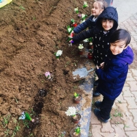 Özel Gebze Hisar Okulları, Koleji Gebze Hisar Koleji, Hisar Okulları Gebze, Anaokulu, Kreş, ilkokul, lise, ortaokul