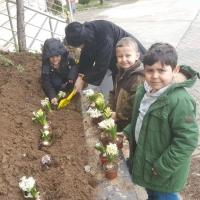 Özel Gebze Hisar Okulları, Koleji Gebze Hisar Koleji, Hisar Okulları Gebze, Anaokulu, Kreş, ilkokul, lise, ortaokul