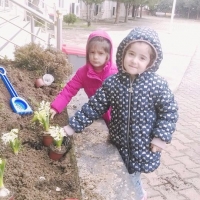 Özel Gebze Hisar Okulları, Koleji Gebze Hisar Koleji, Hisar Okulları Gebze, Anaokulu, Kreş, ilkokul, lise, ortaokul