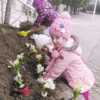 Özel Gebze Hisar Okulları, Koleji Gebze Hisar Koleji, Hisar Okulları Gebze, Anaokulu, Kreş, ilkokul, lise, ortaokul