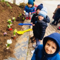 Özel Gebze Hisar Okulları, Koleji Gebze Hisar Koleji, Hisar Okulları Gebze, Anaokulu, Kreş, ilkokul, lise, ortaokul