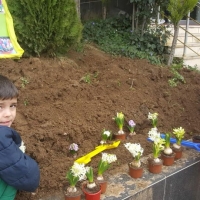 Özel Gebze Hisar Okulları, Koleji Gebze Hisar Koleji, Hisar Okulları Gebze, Anaokulu, Kreş, ilkokul, lise, ortaokul