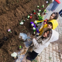 Özel Gebze Hisar Okulları, Koleji Gebze Hisar Koleji, Hisar Okulları Gebze, Anaokulu, Kreş, ilkokul, lise, ortaokul