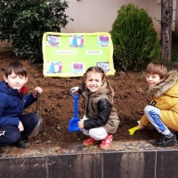 Özel Gebze Hisar Okulları, Koleji Gebze Hisar Koleji, Hisar Okulları Gebze, Anaokulu, Kreş, ilkokul, lise, ortaokul