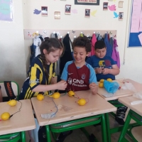 Özel Gebze Hisar Okulları, Koleji Gebze Hisar Koleji, Hisar Okulları Gebze, Anaokulu, Kreş, ilkokul, lise, ortaokul