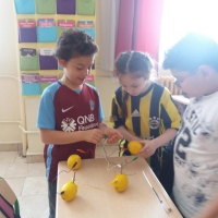 Özel Gebze Hisar Okulları, Koleji Gebze Hisar Koleji, Hisar Okulları Gebze, Anaokulu, Kreş, ilkokul, lise, ortaokul