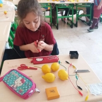 Özel Gebze Hisar Okulları, Koleji Gebze Hisar Koleji, Hisar Okulları Gebze, Anaokulu, Kreş, ilkokul, lise, ortaokul