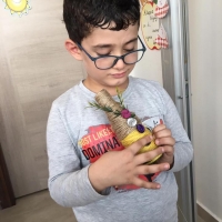 Özel Gebze Hisar Okulları, Koleji Gebze Hisar Koleji, Hisar Okulları Gebze, Anaokulu, Kreş, ilkokul, lise, ortaokul