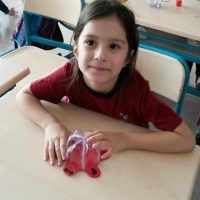 Özel Gebze Hisar Okulları, Koleji Gebze Hisar Koleji, Hisar Okulları Gebze, Anaokulu, Kreş, ilkokul, lise, ortaokul