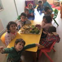 Özel Gebze Hisar Okulları, Koleji Gebze Hisar Koleji, Hisar Okulları Gebze, Anaokulu, Kreş, ilkokul, lise, ortaokul