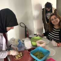 Özel Gebze Hisar Okulları, Koleji Gebze Hisar Koleji, Hisar Okulları Gebze, Anaokulu, Kreş, ilkokul, lise, ortaokul