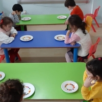 Özel Gebze Hisar Okulları, Koleji Gebze Hisar Koleji, Hisar Okulları Gebze, Anaokulu, Kreş, ilkokul, lise, ortaokul