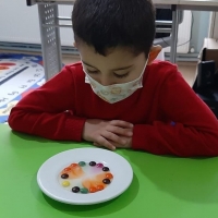 Özel Gebze Hisar Okulları, Koleji Gebze Hisar Koleji, Hisar Okulları Gebze, Anaokulu, Kreş, ilkokul, lise, ortaokul