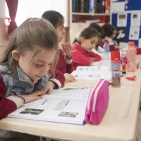 Gebze Özel Hisar Koleji Gebze Hisar Okulları Anaokulu, ilkokul, ortaokul, anadolu lisesi Gebze Hisar Koleji