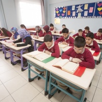 Gebze Hisar Koleji, Ortaokul Gebze Hisar Okulları Anaokulu, ilkokul, ortaokul, anadolu lisesi Gebze Hisar Koleji