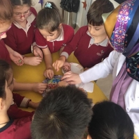 Özel Gebze Hisar Okulları, Koleji Gebze Hisar Koleji, Hisar Okulları Gebze, Anaokulu, Kreş, ilkokul, lise, ortaokul